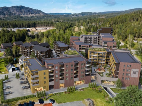 Bilde 1 av annonsen