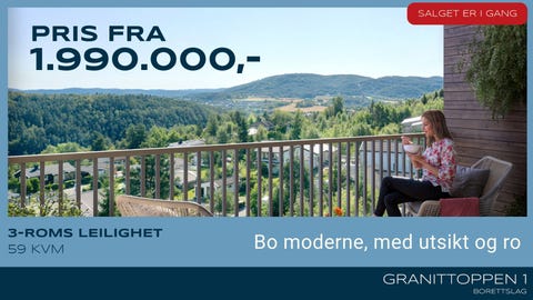 Bilde 1 av annonsen