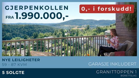 Bilde 1 av annonsen