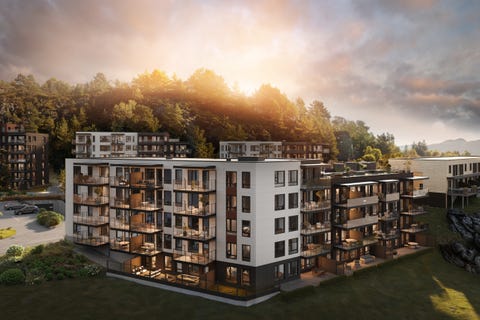 Bilde 1 av annonsen
