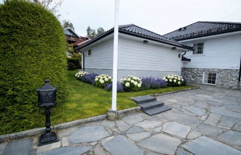 Bilde 1 av annonsen