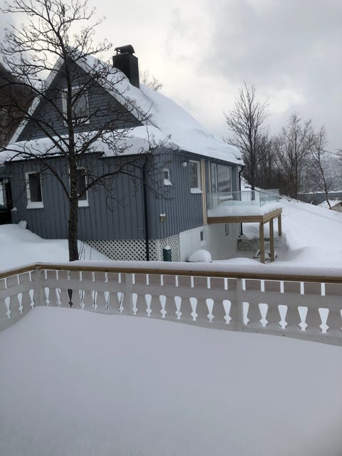 Bilde 2 av annonsen