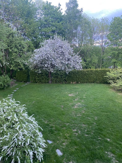 Bilde 2 av annonsen