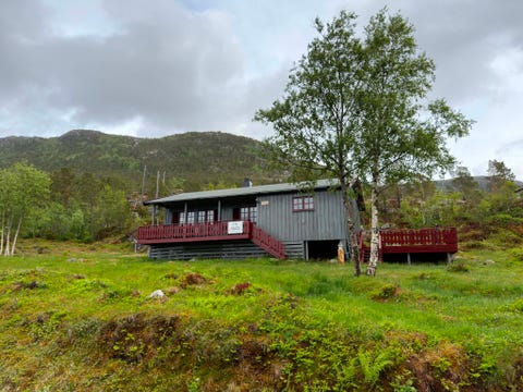 Bilde 1 av annonsen