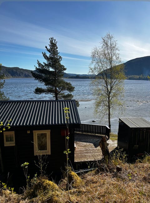 Bilde 1 av annonsen
