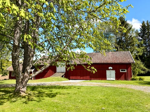 Bilde 2 av annonsen