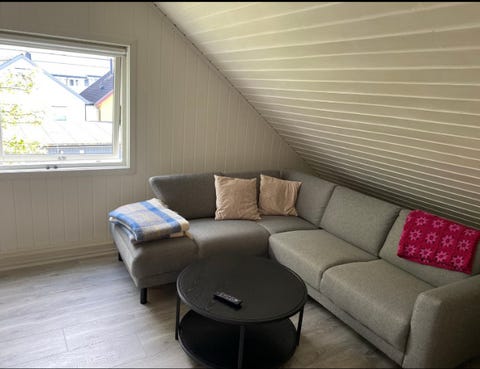 Bilde 1 av annonsen