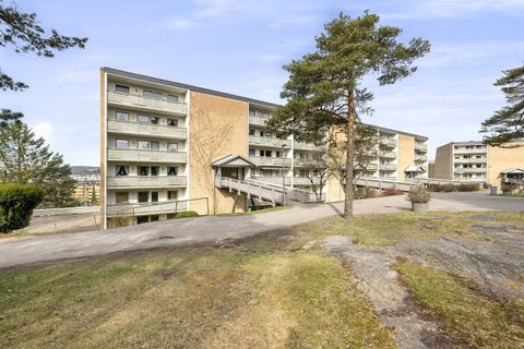 Bilde 1 av annonsen
