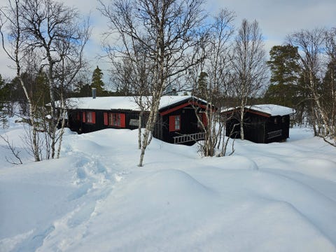 Bilde 1 av annonsen