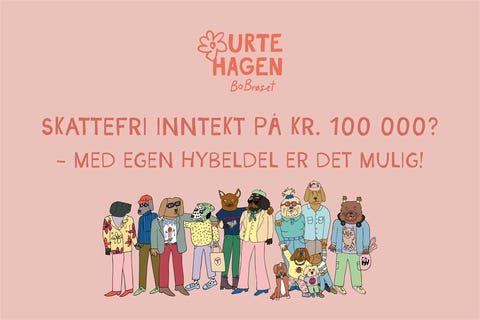 Bilde 2 av annonsen