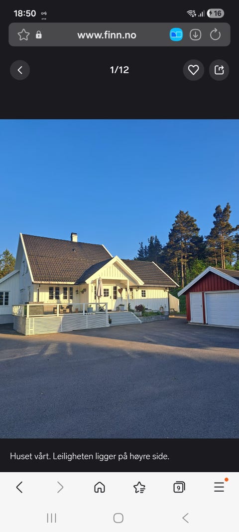 Bilde 1 av annonsen