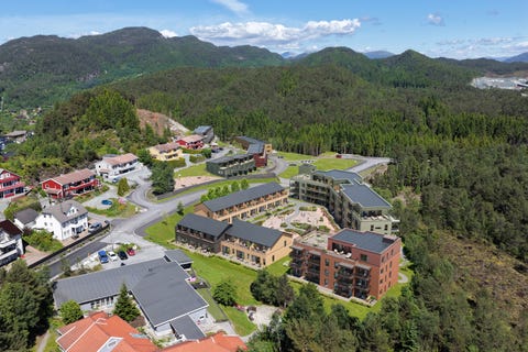 Bilde 1 av annonsen