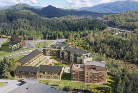 Bilde 1 av annonsen
