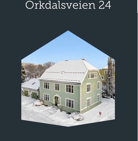 Bilde 1 av annonsen