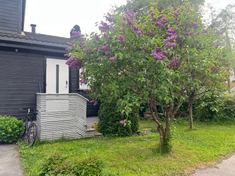 Bilde 2 av annonsen