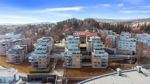Bilde 1 av annonsen