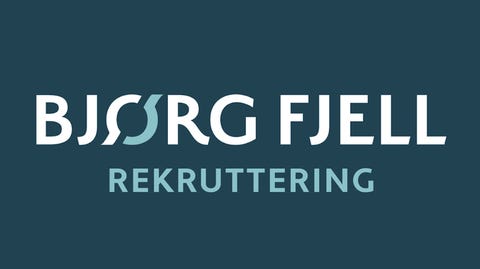 Bjørg Fjell Rekruttering Drammen AS logo