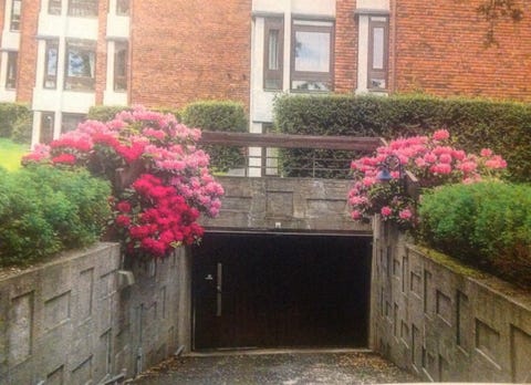 Bilde 2 av annonsen