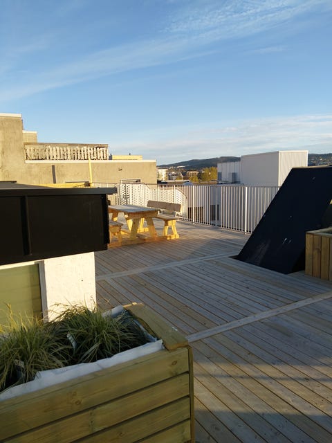 Bilde 2 av annonsen