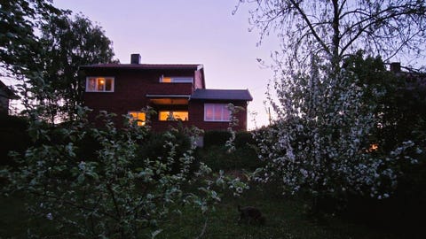 Bilde 1 av annonsen