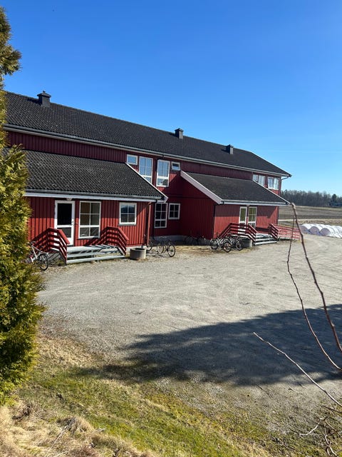 Bilde 1 av annonsen