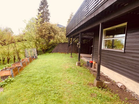 Bilde 2 av annonsen