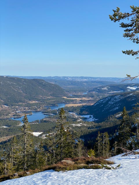 Bilde 1 av annonsen