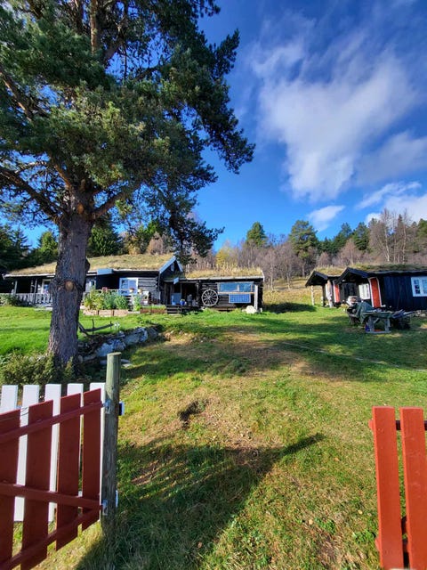 Bilde 2 av annonsen