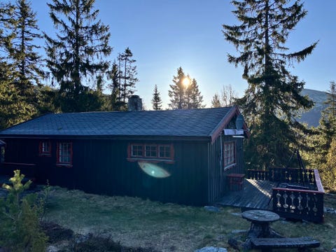 Bilde 2 av annonsen