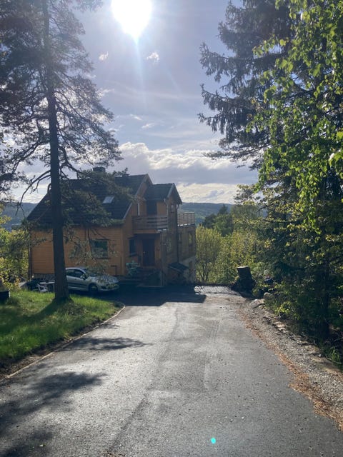 Bilde 1 av annonsen