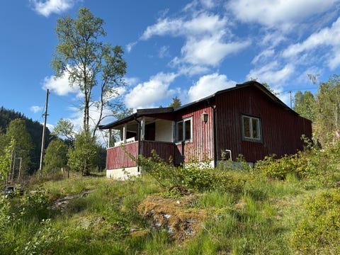 Bilde 1 av annonsen
