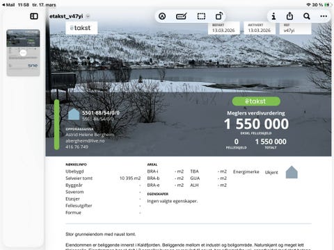 Bilde 1 av annonsen