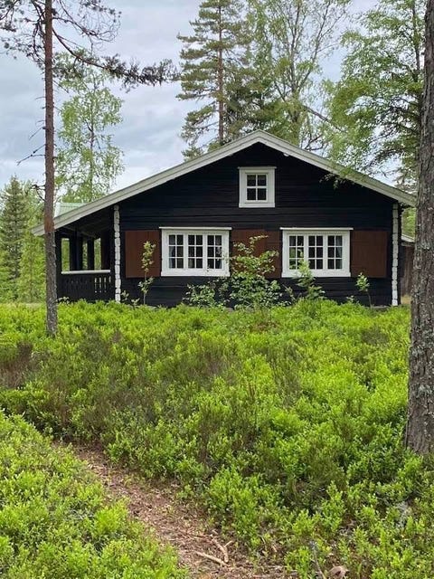 Bilde 1 av annonsen