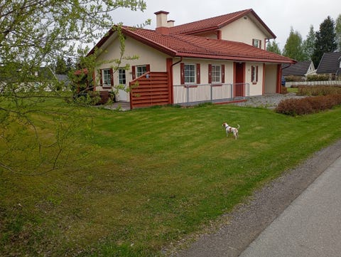Bilde 1 av annonsen