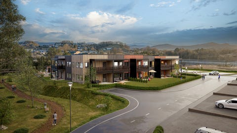 Bilde 1 av annonsen
