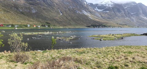 Bilde 1 av annonsen