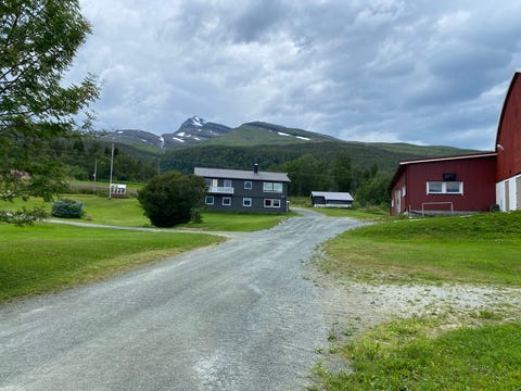 Bilde 1 av annonsen