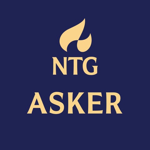Norges Toppidrettsgymnas Ungdomsskole Asker AS logo