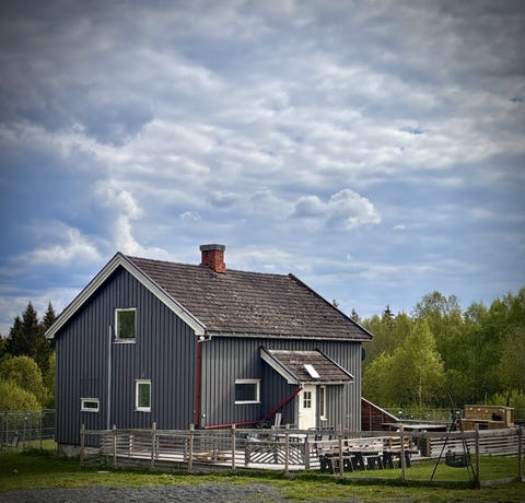 Bilde 1 av annonsen