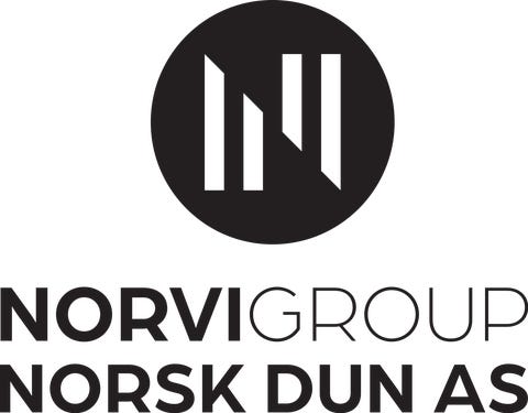 Norvigroup Norway As logo