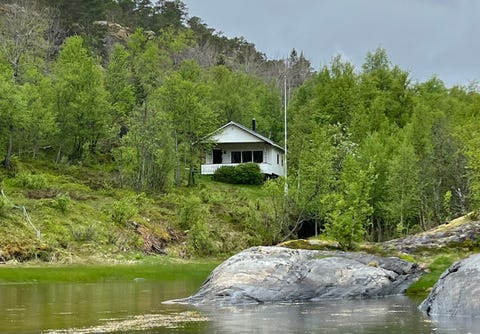 Bilde 1 av annonsen