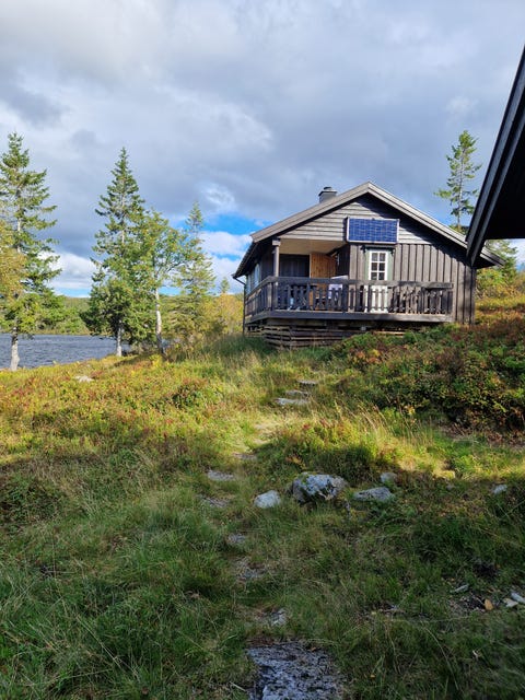 Bilde 2 av annonsen