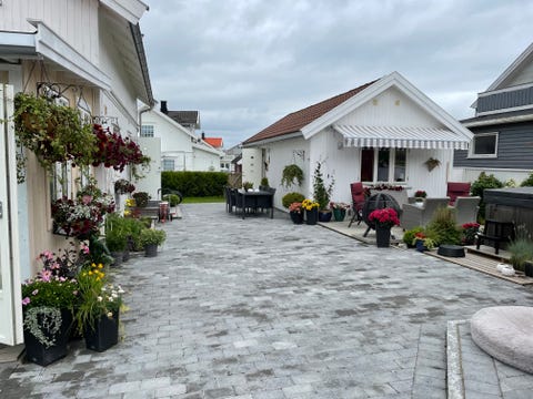 Bilde 1 av annonsen