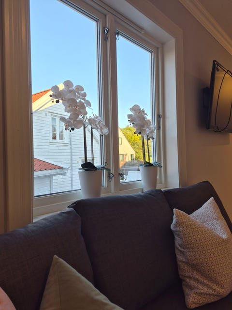 Bilde 2 av annonsen
