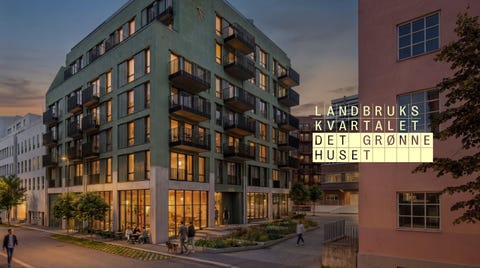 Bilde 1 av annonsen