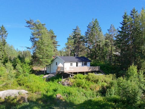 Bilde 1 av annonsen