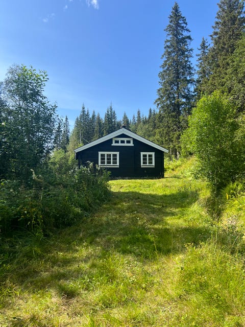 Bilde 2 av annonsen
