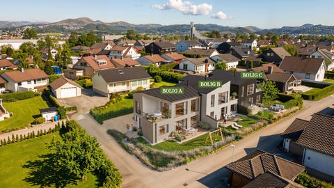 Bilde 1 av annonsen