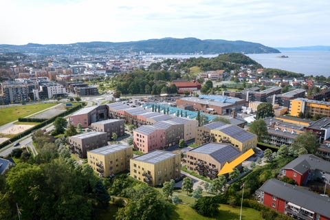 Bilde 2 av annonsen