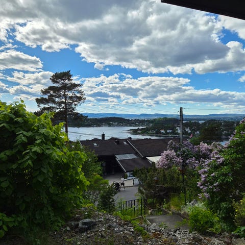 Bilde 1 av annonsen